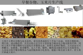 打造健康早餐新选择 谷物脆片食品机械设备厂家的技术革新